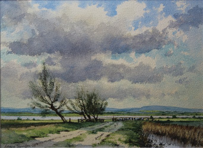 sarahsamuelsART's tweet photo. "Across The Severn 2" by Adrian Taunton is a "10" x "14" Water Colour. To enquire about this painting, click here >> https://t.co/vXdkBQvPXL https://t.co/a0lE9jB1BS