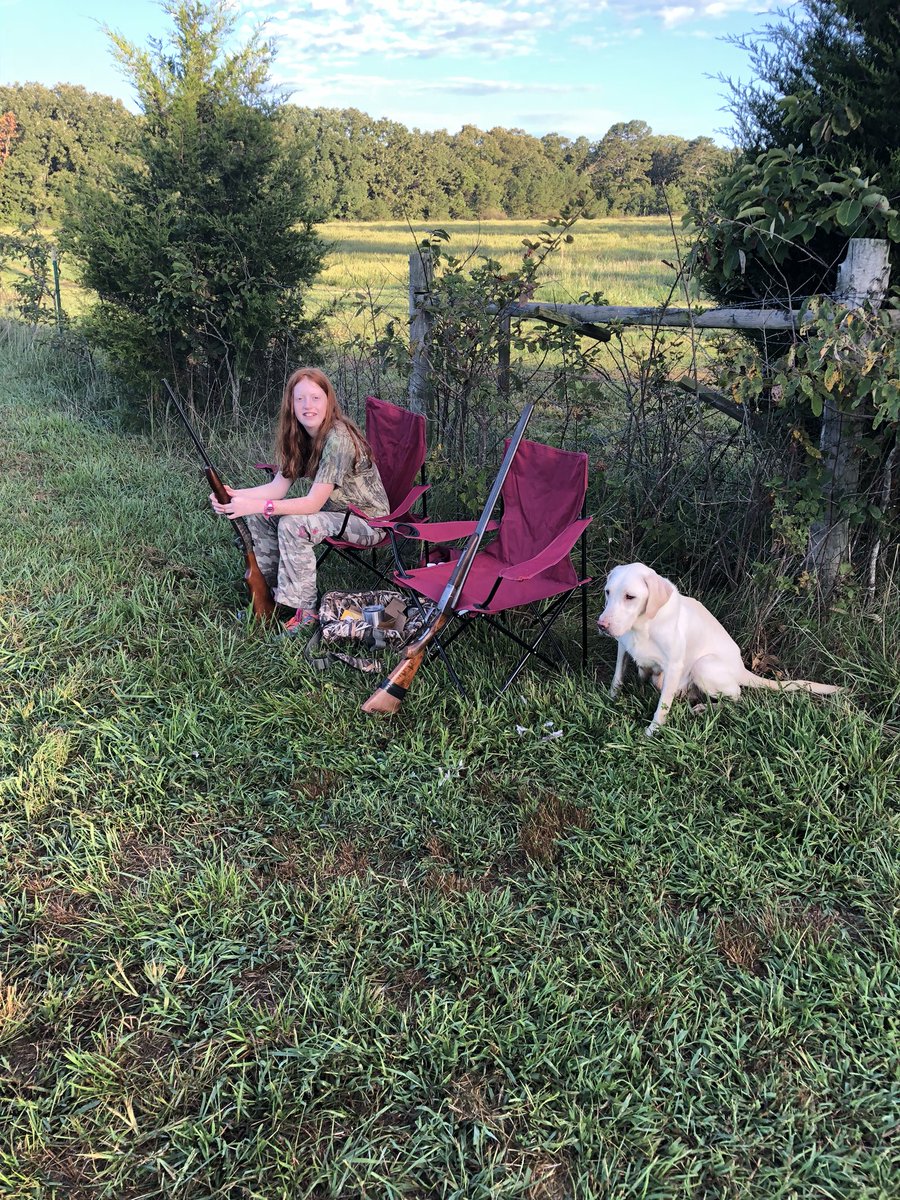 LabsBritish's tweet photo. Labor Day dove hunting fun. #GunDogTv https://t.co/dDmID1RArm
