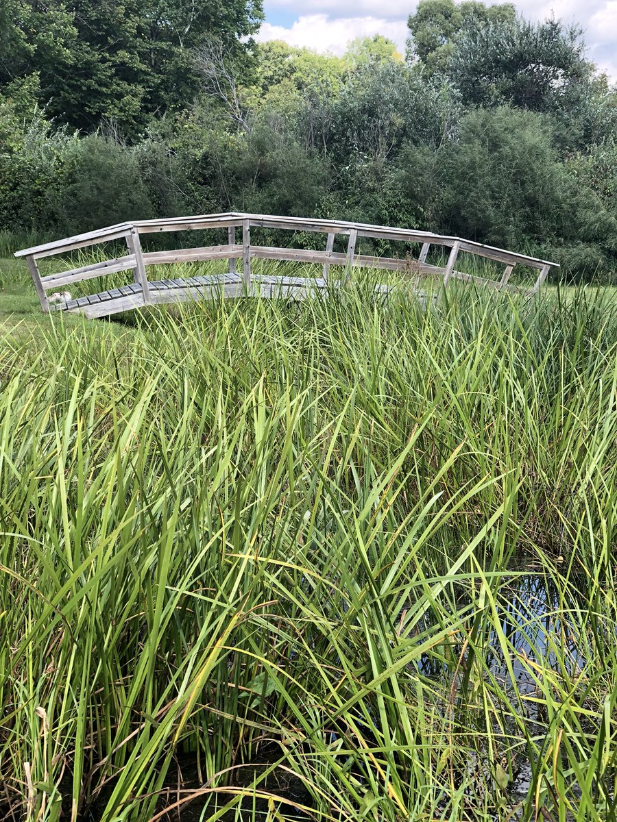 halverson03's tweet image. Lovely, lazy, long weekend!