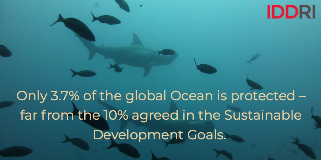 MarinePolicy's tweet photo. Negotiations for a treaty on high seas biodiversity begin tomorrow @UN in New York. Read our guide to the negotiations here: https://t.co/v4qUURV4Yr

#BBNJ #HighSeas #OneOceanOnePlanet https://t.co/AuxhcAszBw