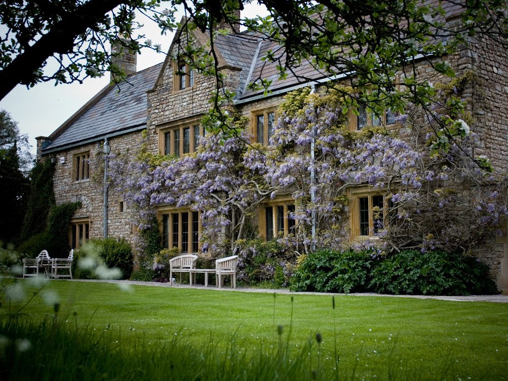 We are throwing it back, to earlier in the year with lots of signs of spring! #ThrowbackThursday