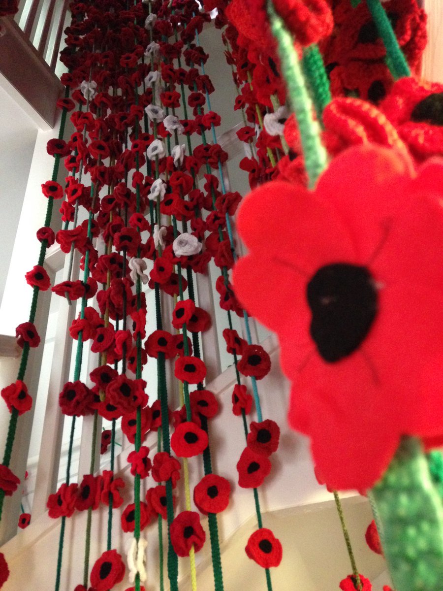 NewtownM's tweet photo. Wonderwool poppies on show in Newtown Textile Museum. https://t.co/I7K0HeTVDH
