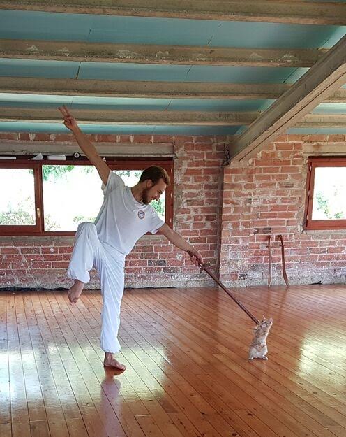 My aunt runs a martial arts training centre near Girona. She also has a new kitten. Here is one of her students training with the kitten. It is my new favourite photo.