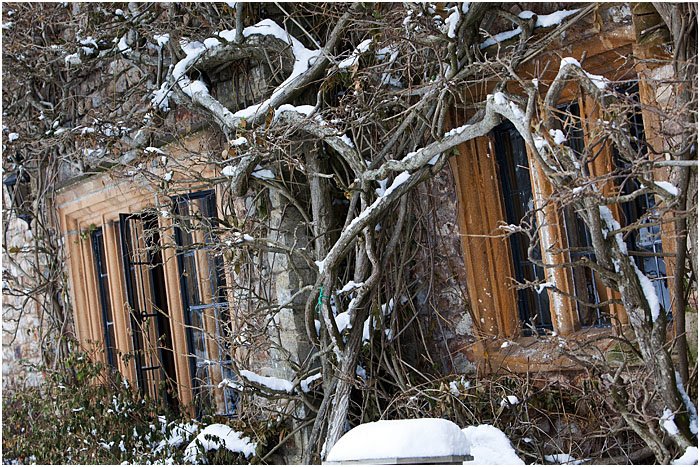 Plan your wonderful winter break to Somerset, with a weekend here at The Manor Country Estate.