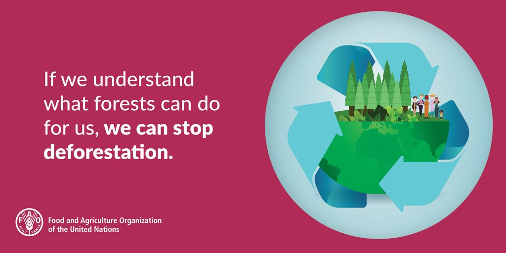 FAOForestry's tweet photo. If we understand what forests can do for us, we can stop deforestation. https://t.co/sTrg8tD6KS