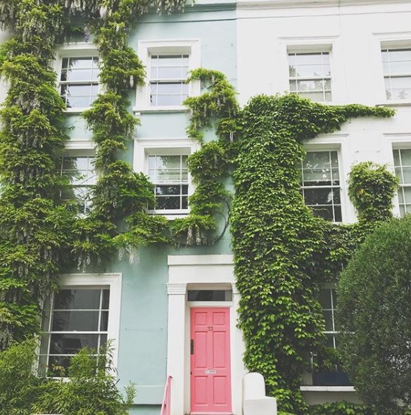 visitlondon's tweet photo. Let nature do its thing 🚪💚 #doortraits #NottingHill

[📸 @wanderforawhile] https://t.co/ZTR38YdaV9