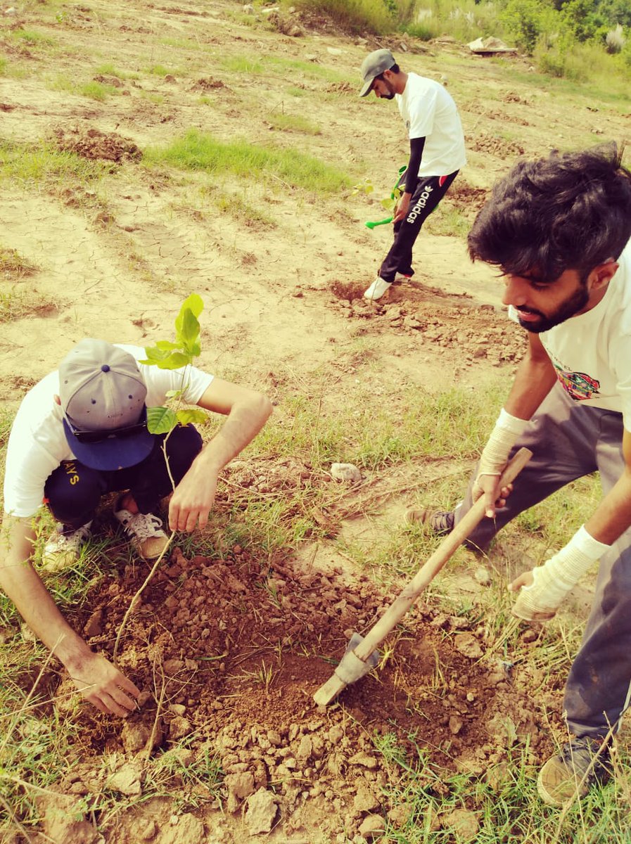 usamaihsanhere's tweet photo. 10 Billion Tree Tsunami started
Great initiative of taking volunteer organizations, kids, youngsters, senior citizens and almost everybody on board
This will help us in learning to be united for a common cause as a nation and realize our real issues
#Plant4Pakistan #PlanterForce https://t.co/U4tF24nm42