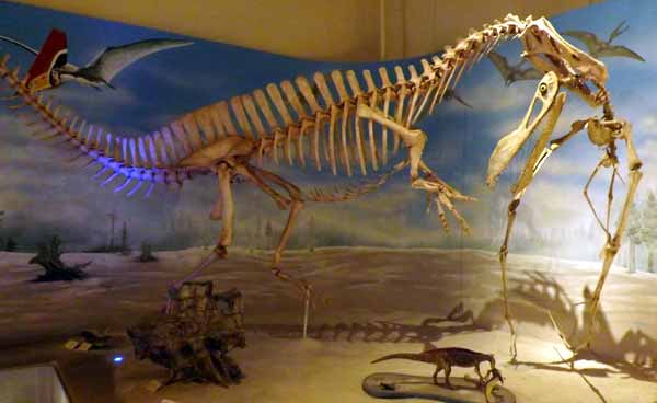 TetZoo's tweet photo. The incredible and heartbreaking fire at the National Museum at Rio de Janeiro means that there's a call to collect photo taken there. Mail them to thg.museu@gmail.com (please RT for this reason). I have many, will be sending them. Here are some... https://t.co/NPahEpgRUX