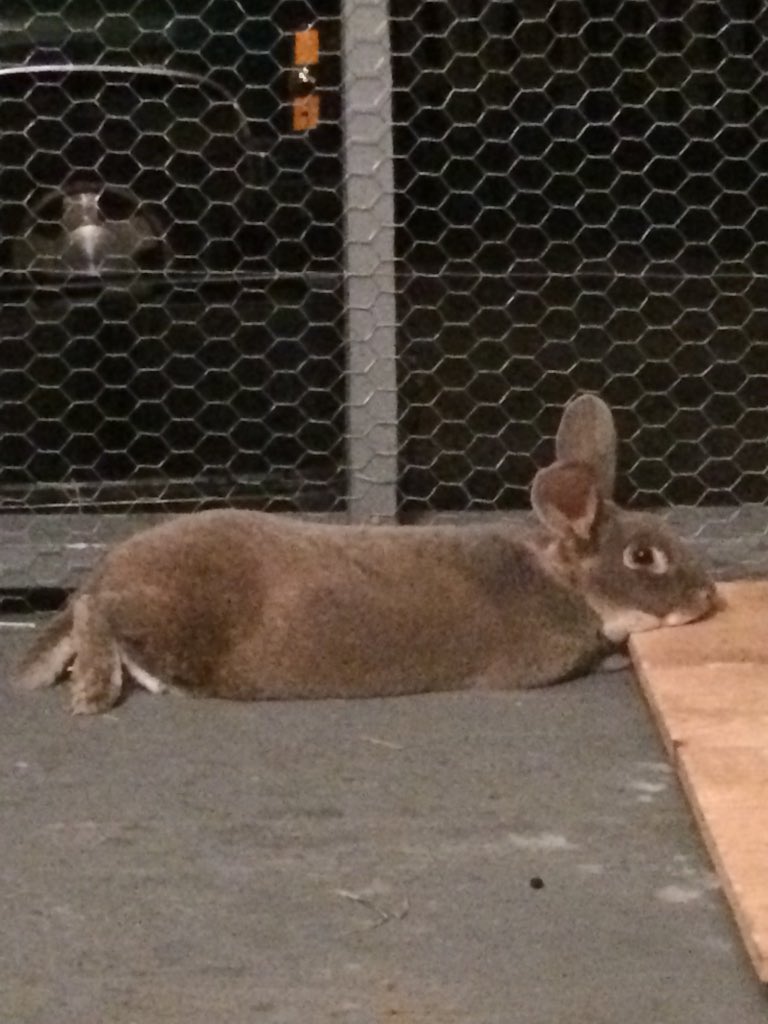 AcresAdams's tweet image. 