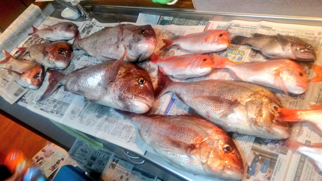 mozja9671's tweet photo. 日曜日、初の船釣り行ってきました！
３人で、真鯛7、レンコ鯛6、ソイ1
合計14匹大漁！
最高記録は70センチ＼(^^)／

流石に１日で裁ききれんかったけど、
刺身、昆布じめ、あら汁、漬け丼
で頂きました！ https://t.co/f4KhRpNiwZ