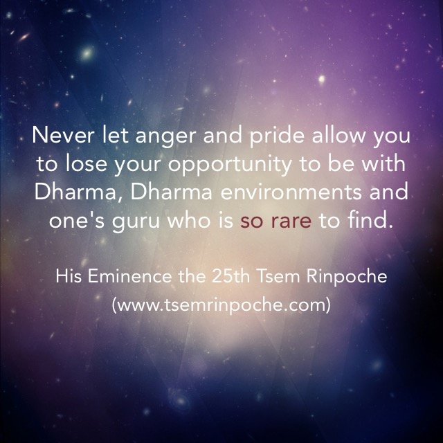 #Precious #Guru #leads us towards our #true #nature of #compassion #wisdom & #eliminate our #InnerConflict. #Realise that #enlightenment is to #embrace all in correct #view.
#TsemRinpoche
#tsemtulku
#DalaiLama
#DorjeShugden
#motivation
#peaceofmind
#blessings
#merits
#karma
#ego