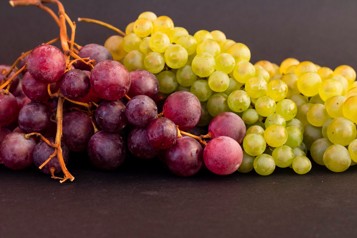 affysport's tweet photo. A lire sur notre blog : 5 RAISONS DE CONSOMMER DES RAISINS POUR LE SPORTIF… https://t.co/iYUVXzVIqw https://t.co/uhjnyR2onf