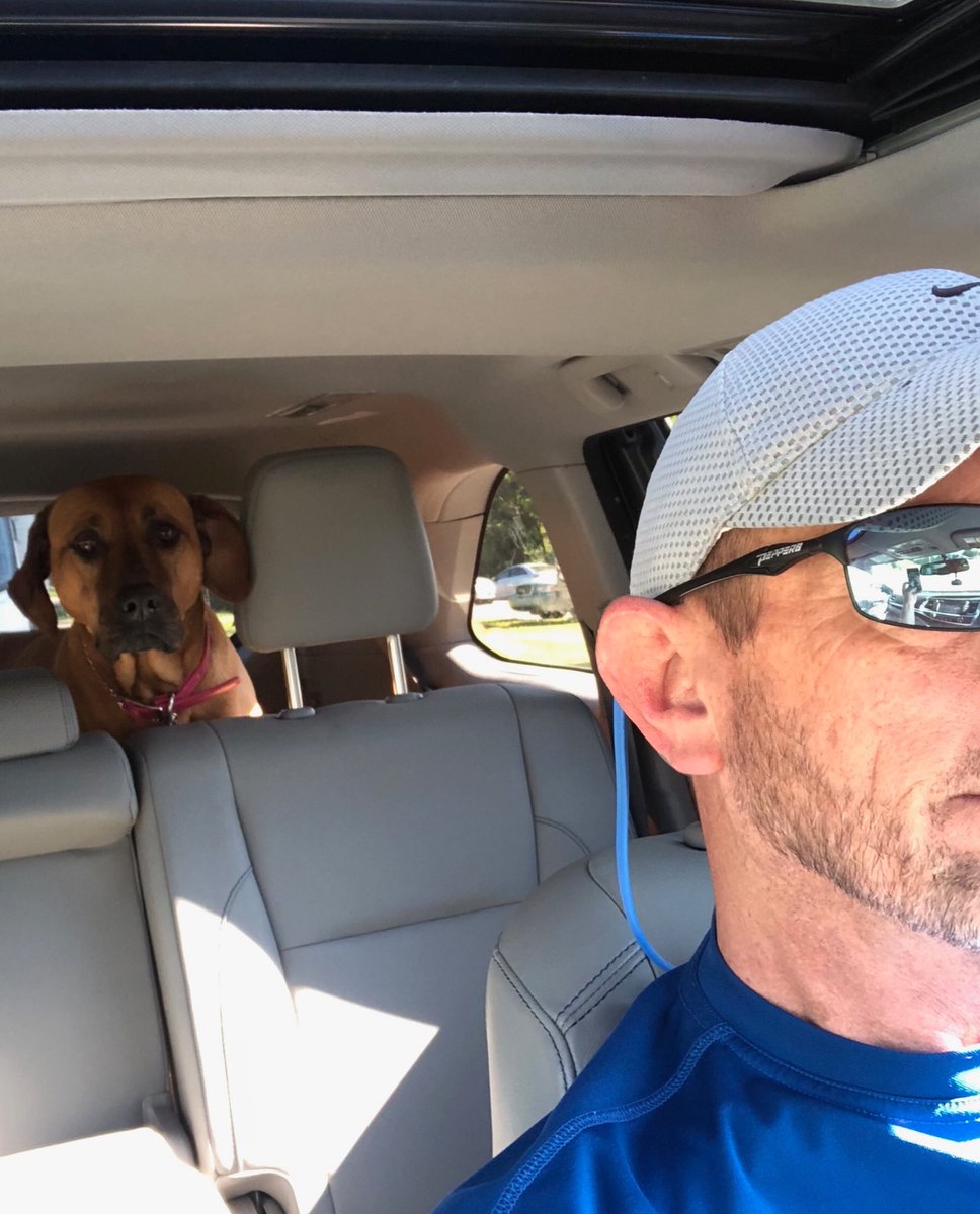 ScottsHusband's tweet photo. Car ride with daddy on this #LaborDay2018 #HarVee Sweet baby girl! *swoon* 😃 https://t.co/0FGed2b4nP