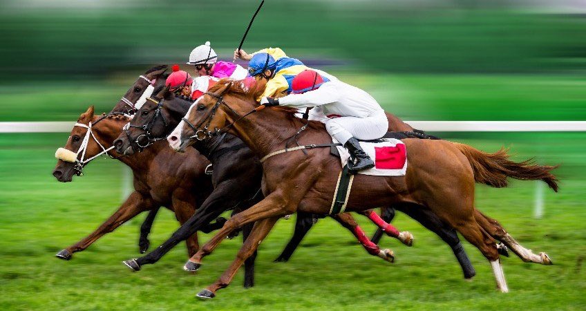 FromeHall's tweet image. HEADS UP. Horse racing evening at Frome Masonic Hall on Saturday 17th November. Why not book a table, details to follow