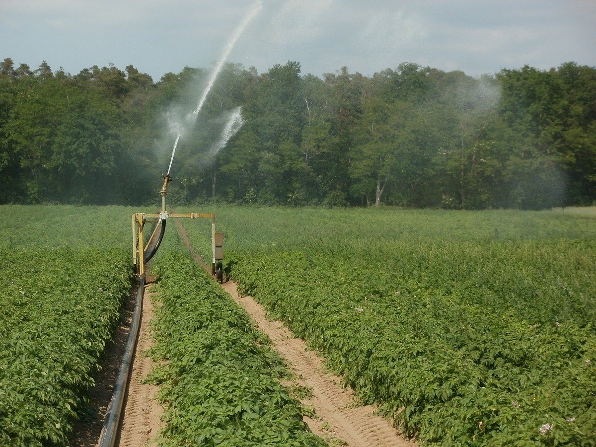 TheYorksTimes's tweet photo. Drought planning continues after hot summer puts pressure on environment 
#droughtplanning #hotsummer #watershortage #irrigation
https://t.co/LsR2Q9RD9f https://t.co/K2YxYMeG5i