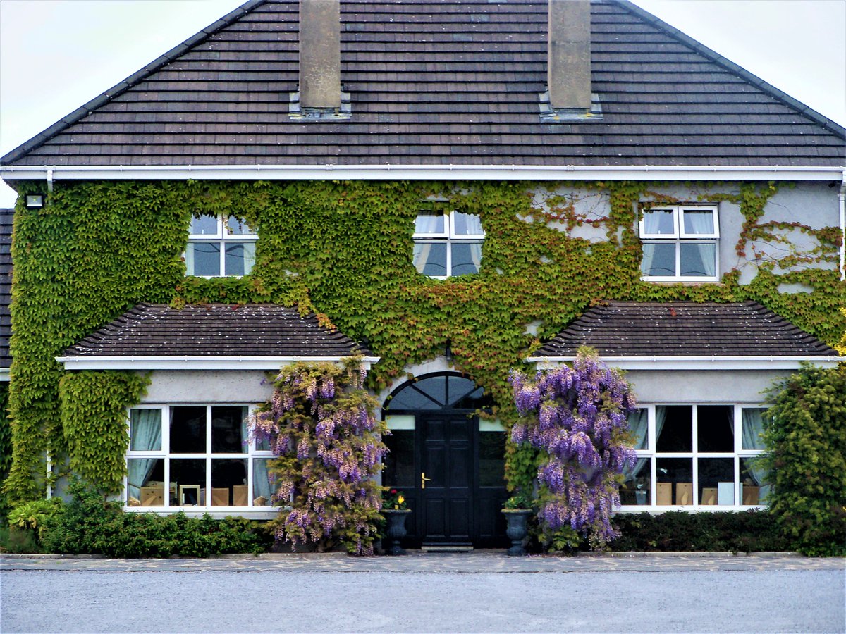 WanderFullBlog's tweet photo. #Beautiful #houses in #Adare, #Ireland (#Images by @jl_musgrave) #travel #wander #architecture #Irish #home #Eire #Europe #travelphotography #photography #village https://t.co/1Y8z4ReQY1
