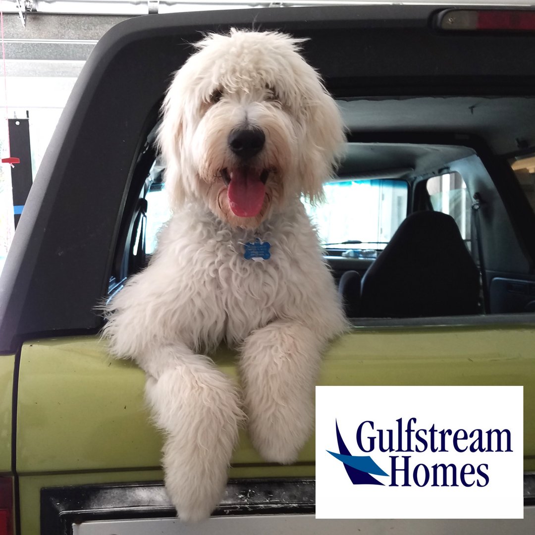GulfstreamHomes's tweet photo. Happy Labor Day everyone! Jack and the rest of the Gulfstream Homes team, are taking the day off! 

#happylaborday #dayoff #friends #family #dogsofsocialmedia #gulfstreamhomes #SWFLcustombuilders #outofoffice https://t.co/DXJkznbfzH