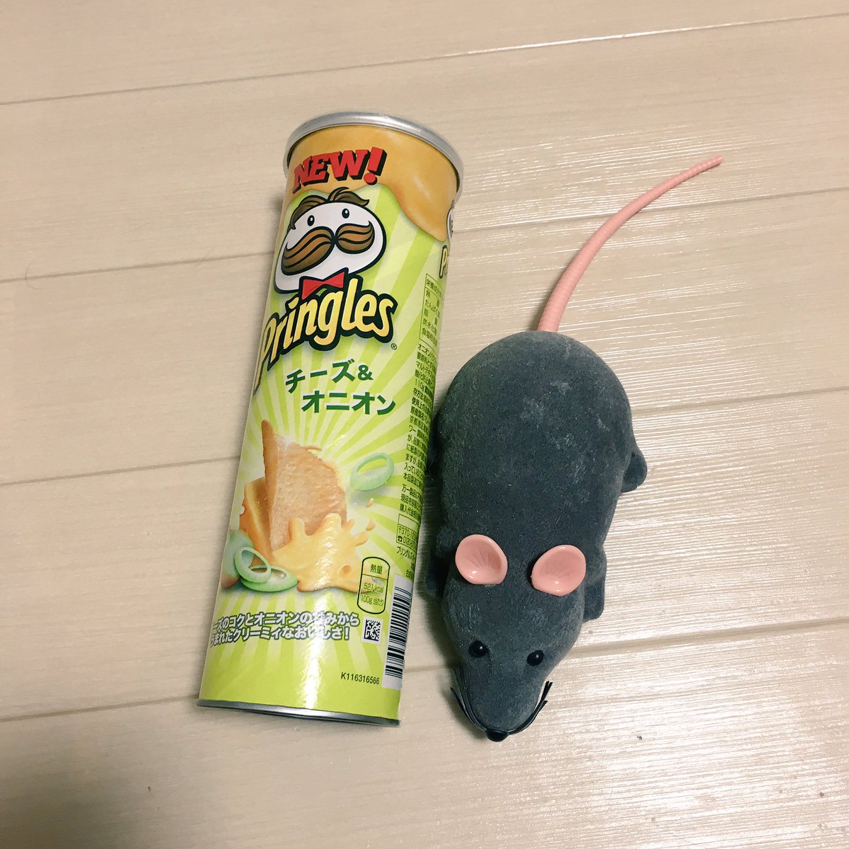 애옹 tweet media