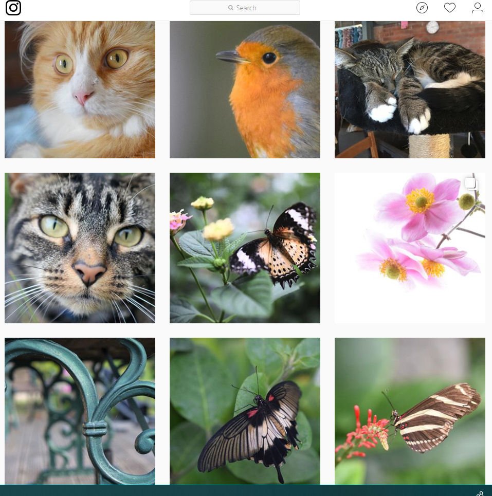 AnnesPhotos's tweet photo. What do you think of my Instagram ? Please follow me for more pictures and I will follow back. https://t.co/XrQyN4z8Rv #instagram #annecdotes #photographer #pictures #photography https://t.co/rUwTWd3OYx
