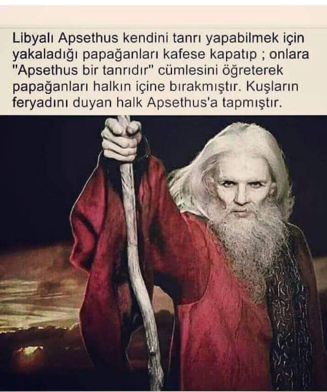 Yeterli sayıda papağanın varsa tanrı bile olursun!!!