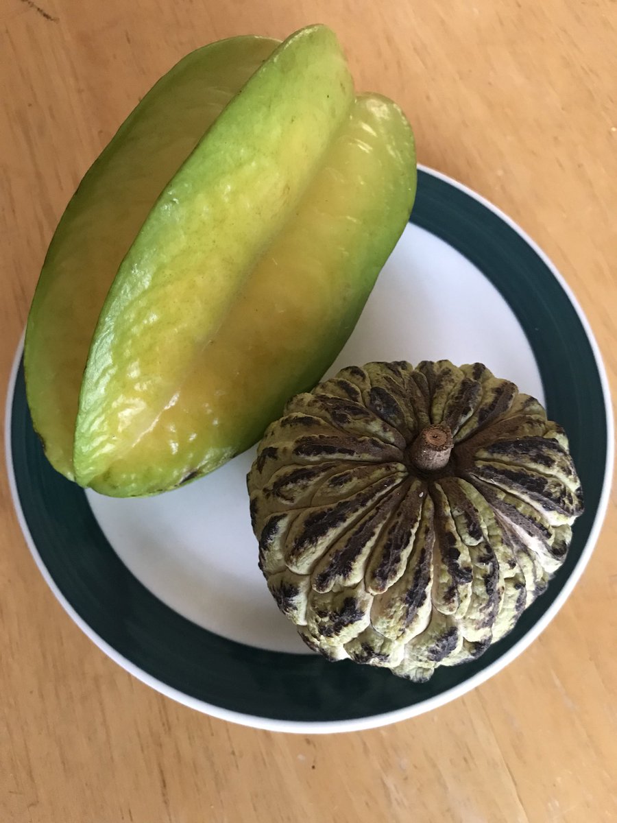 Filipinofruit