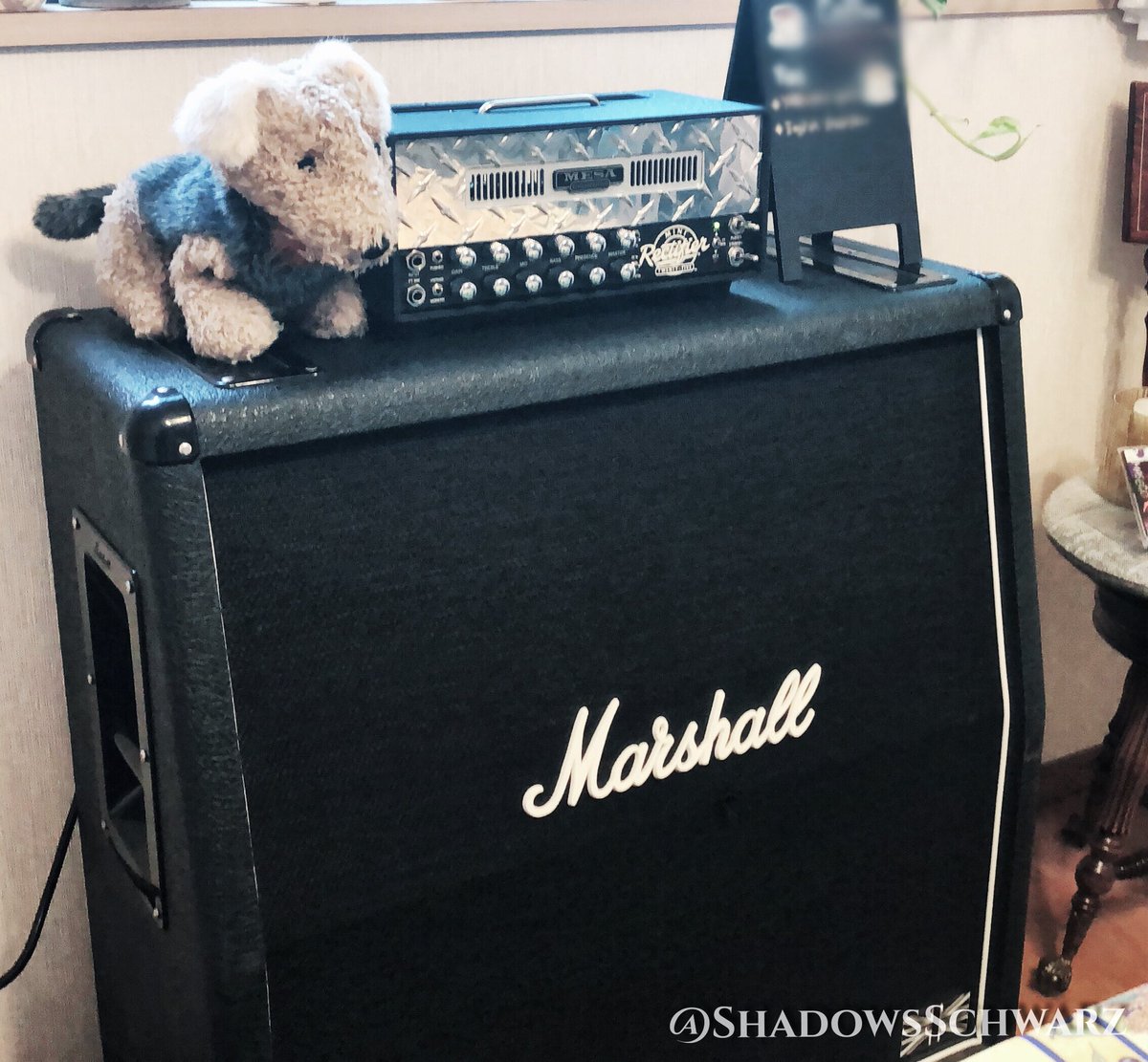 ShadowsSchwarz's tweet image. The dog is important for the tone!!!  #Marshallamp #MesaBoogie #Dualrectifier #可愛い ＃ギタリスト