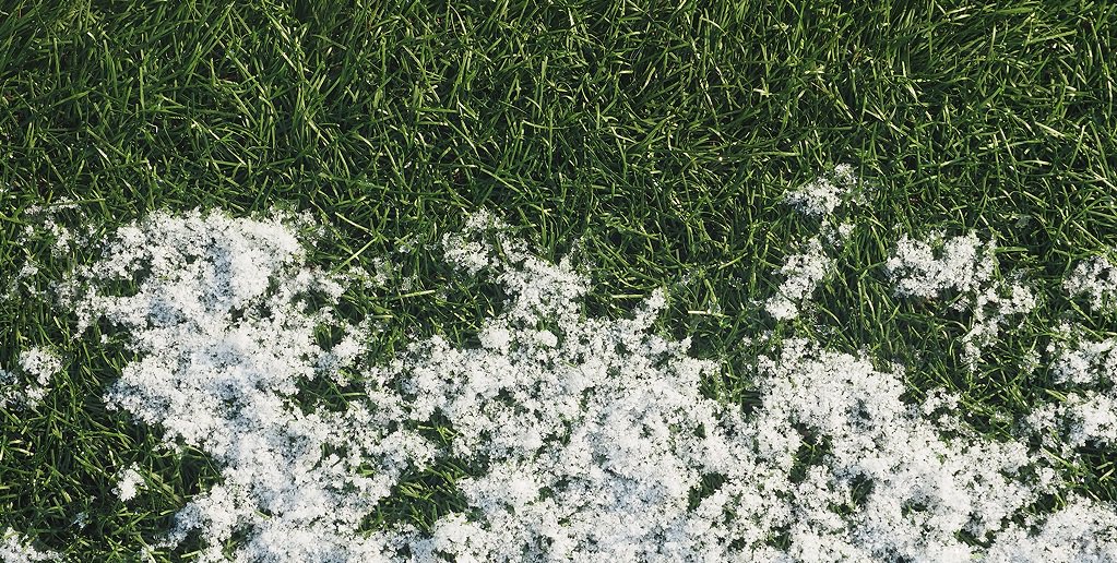SyngentaTurf's tweet photo. Protect your course from snow mold and earn a Harman® Kardon® Onyx Wireless Speaker with our Contend Winter Solution offer.https://t.co/9UzwfbRqfz #GreenTrust365 https://t.co/yAvxx4FMJL