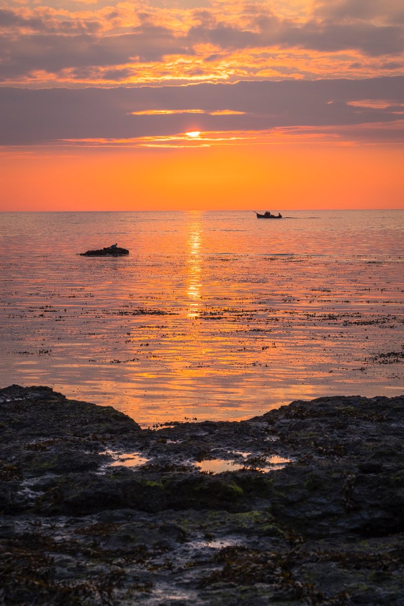 WhitbyPhotos's tweet photo. Sunrise at Robin Hoods Bay

#yorkshire #whitby #northyorkshire #sunrise #yorkshirecoast #robinhoodsbay #northyorkshiremoors #NationalParks #nationalpark https://t.co/lcB5T1N5hI