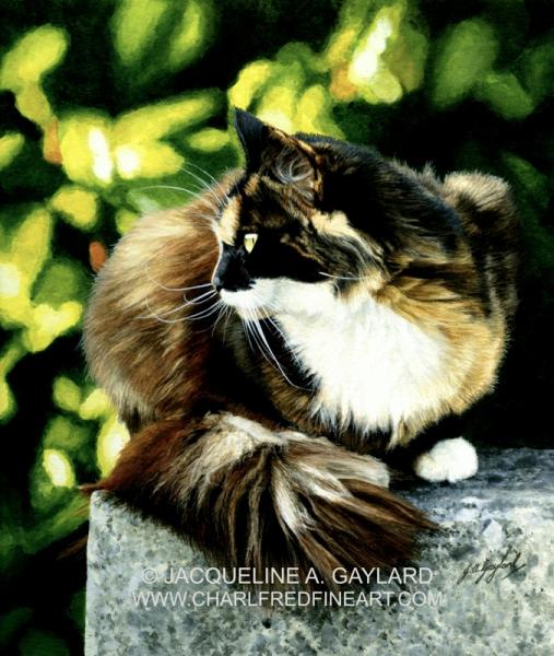 iCatCare's tweet photo. β In The Secret Garden by Jacqueline A. Gaylard
From 24 Nov β 8 Dec Jacqueline's work will be on show at #TheCompleteCat exhibition where 25% of the sales are being kindly donated to iCatCare.
To find out more about the artists and the exhibition, visit: https://t.co/ks0wJQKRqx https://t.co/B3DpOlLSoh