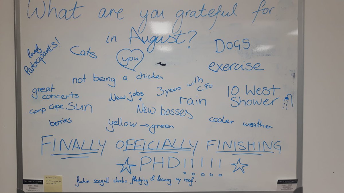 meike_scheller's tweet photo. What are you grateful for this month? August brought a new Dr to the #officeofdreams - hats off to @Bhagy_P - that even topped 'not being a chicken'. We also say thank you for 3 great years with @ClaireLForrest &amp; @WrattenSamantha - we will miss you here. https://t.co/ridweYBx9y