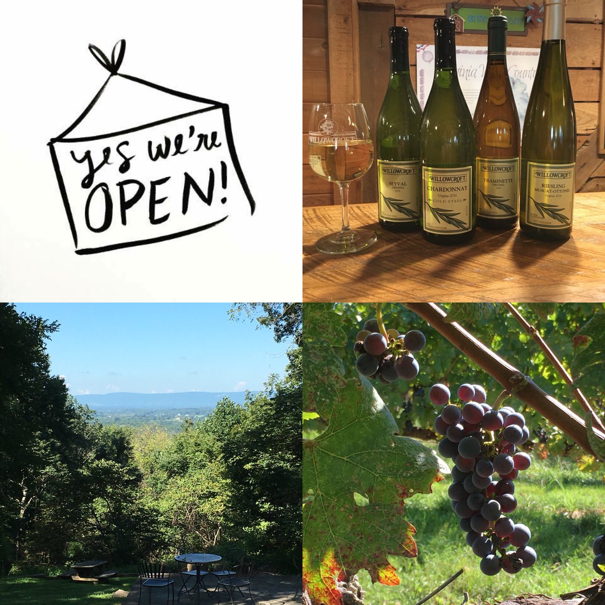 WillowcroftWinery tweet media