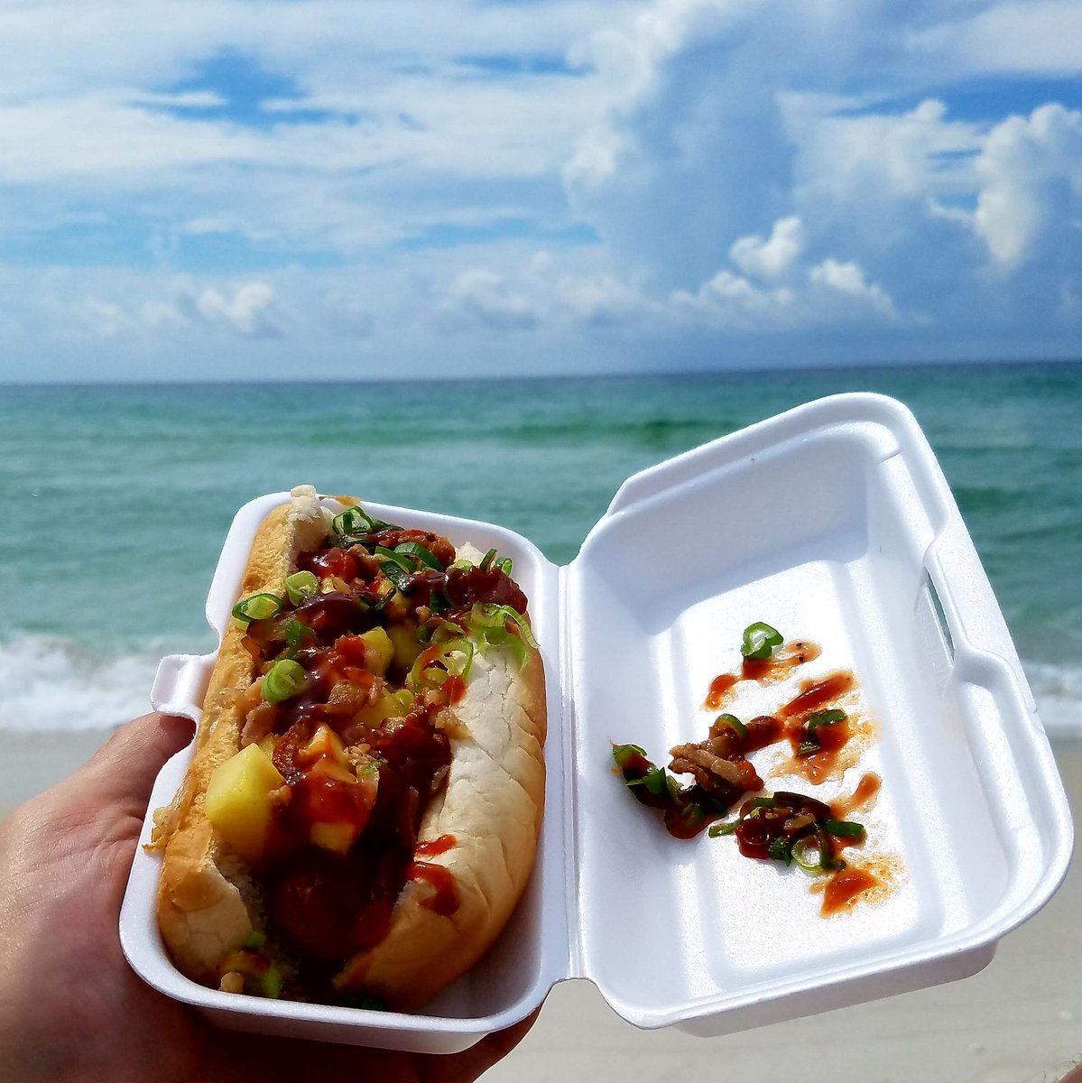 HotdogSavant's tweet photo. If you can always get a chair at the beach, shouldn't you always be able to get a #hotdog at the beach? The Flyin' Hawaiian is always a good choice at the Dog House Deli. #hotdogseveryday #laborday #nolaboronlaborday https://t.co/LGDsYT88jj