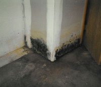 FasTrackRestore's tweet image. SCARED of MOLD? Preventive tips that can help. houselogic.com/organize-maint…  #ColumbiaSC #MoldPrevention #WaterDamageRepair #ccm1