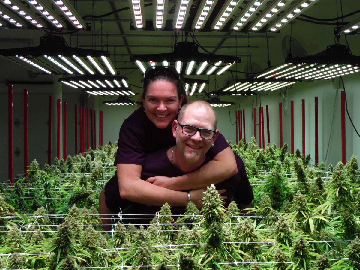 BinaryDocfilms's tweet photo. Danielle Rosellison, Pres.Cannabis Alliance talks about current issues in Wa. State with cannabis farming in our film on AMAZON PRIME https://t.co/4BVyOCiPxj  Oberfelder's Cannabis Farm, the Good the Bad and the Happy #CBD #cannabisindustry #film #mediawatch #LaborDay #blockchain https://t.co/vMmracv2e5