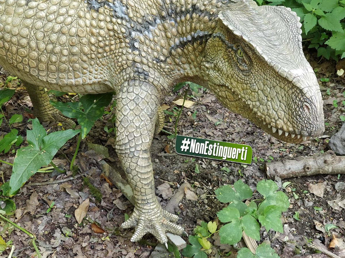 dinosauriDCO's tweet photo. #DinosauriAgliAstroni 🦕😱 All'@OasiAstroni potresti incontrare il #TicinosuchusFerox, rettile estinto, simile ai coccodrilli, 🐊 dalle terribili fauci! Non fare come lui #NonEstinguerti! Scopri di più sulla mostra "Dinosauri in Carne e Ossa" a #Napoli ⏩https://t.co/VPvWlRP8Mm https://t.co/YFeF8YTaix