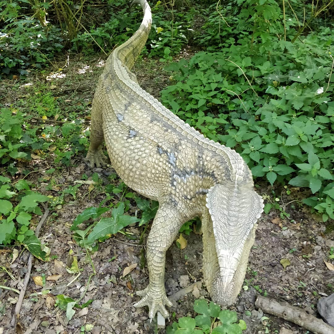 dinosauriDCO's tweet photo. #DinosauriAgliAstroni 🦕😱 All'@OasiAstroni potresti incontrare il #TicinosuchusFerox, rettile estinto, simile ai coccodrilli, 🐊 dalle terribili fauci! Non fare come lui #NonEstinguerti! Scopri di più sulla mostra "Dinosauri in Carne e Ossa" a #Napoli ⏩https://t.co/VPvWlRP8Mm https://t.co/YFeF8YTaix