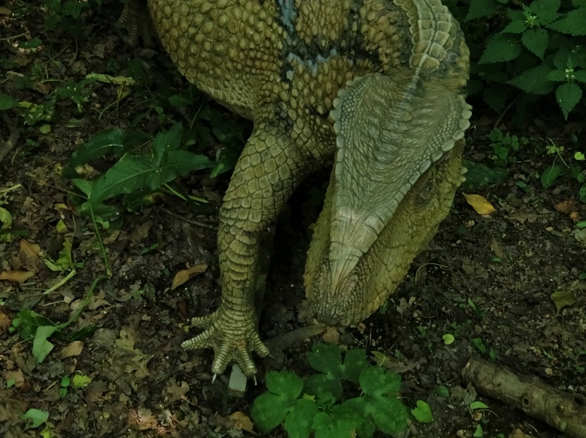dinosauriDCO's tweet photo. #DinosauriAgliAstroni 🦕😱 All'@OasiAstroni potresti incontrare il #TicinosuchusFerox, rettile estinto, simile ai coccodrilli, 🐊 dalle terribili fauci! Non fare come lui #NonEstinguerti! Scopri di più sulla mostra "Dinosauri in Carne e Ossa" a #Napoli ⏩https://t.co/VPvWlRP8Mm https://t.co/YFeF8YTaix
