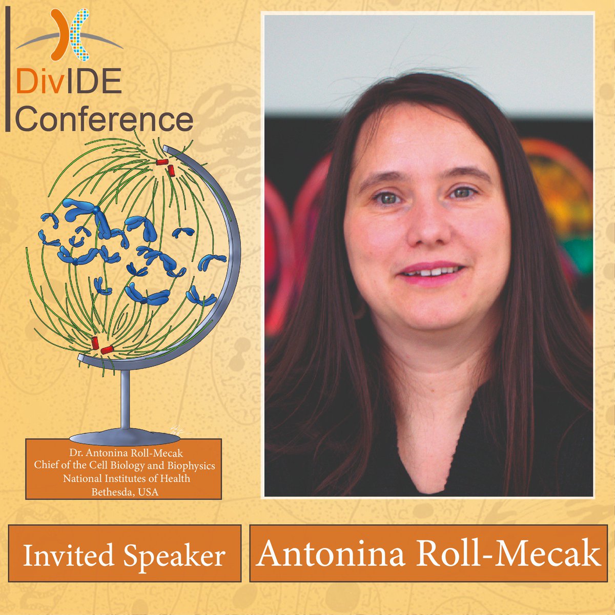 DivIDE_2025's tweet photo. Antonina Roll-Mecak from @NINDSnews will speak about her research at #Divide_p2p ! Her lab works on decoding the "#TubulinCode”, it’s effects on #Microtubule properties and interactions using diverse approaches.
Looking forward to the talk! @divide_eu 
https://t.co/Ygl4aKk0a7 https://t.co/Q4EEw7j7YQ