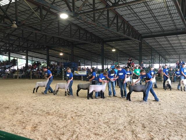 FFAMcCook's tweet photo. Just a few more pictures. #chapterpride https://t.co/rDovTChCPV