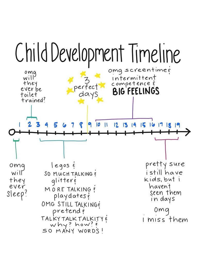 ONTSpecialNeeds's tweet photo. I would say this is pretty accurate! https://t.co/uXfIrQByIk