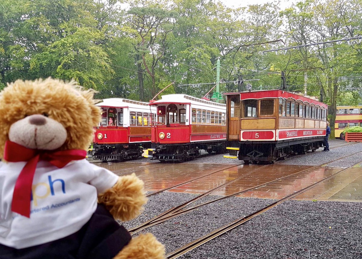 hphonline's tweet photo. This month's #wheresHumPHrey sees HumPHrey going for a ride on a tram. At least it got him out of the rain. The first person to guess where he went at the weekend will be showered with praise. https://t.co/4sx0HMLkHw