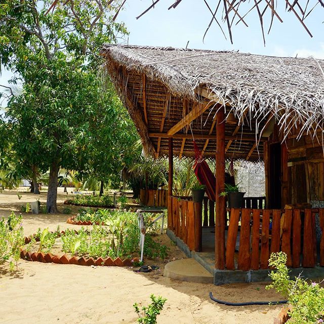 valampuriresort's tweet photo. We live by our name, unique chalet #kalpitiya #srilanka #kitesurfing #resort #chalet #accomodation #holiday #srilankanfood #visitkalpitiya #visitsrilanka #kitetrips # https://t.co/ywaqOmobEb https://t.co/ATQBowCbBE