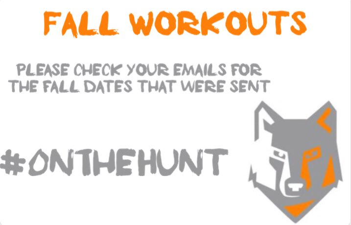 CoachCass_'s tweet photo. Fall workouts begin this week! Players please check your emails or contact Coach Nick at: mercymcauleybball@gmail.com if you did not attend last week’s meeting &amp; are interested in playing! 🐺🏀 https://t.co/zvmthmbe95