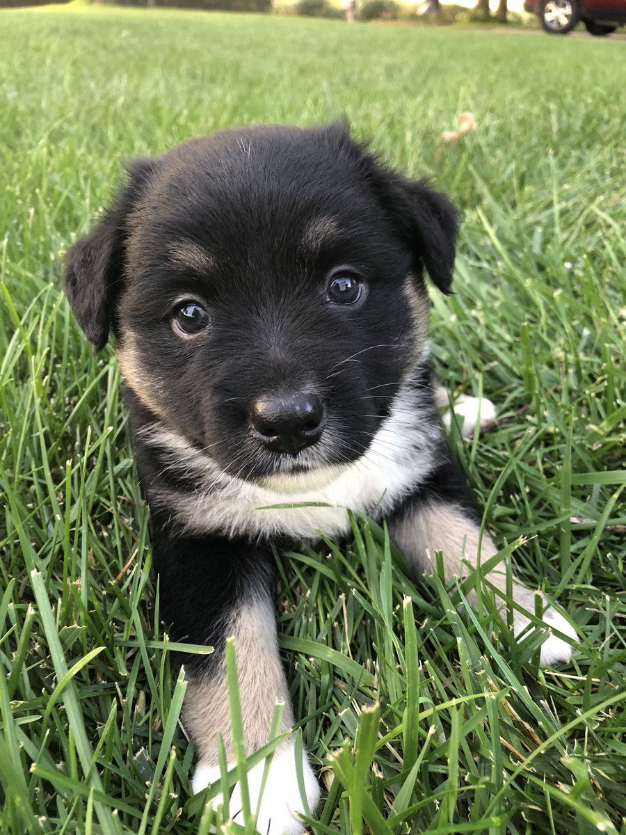 Someone buy these. Thanks