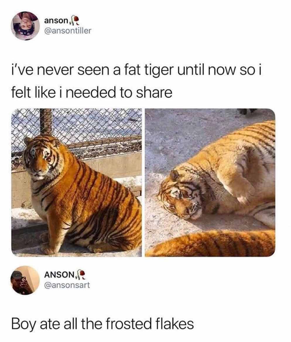 MensHumor's tweet photo. They're grrrrrreat! https://t.co/UL2pux7avh