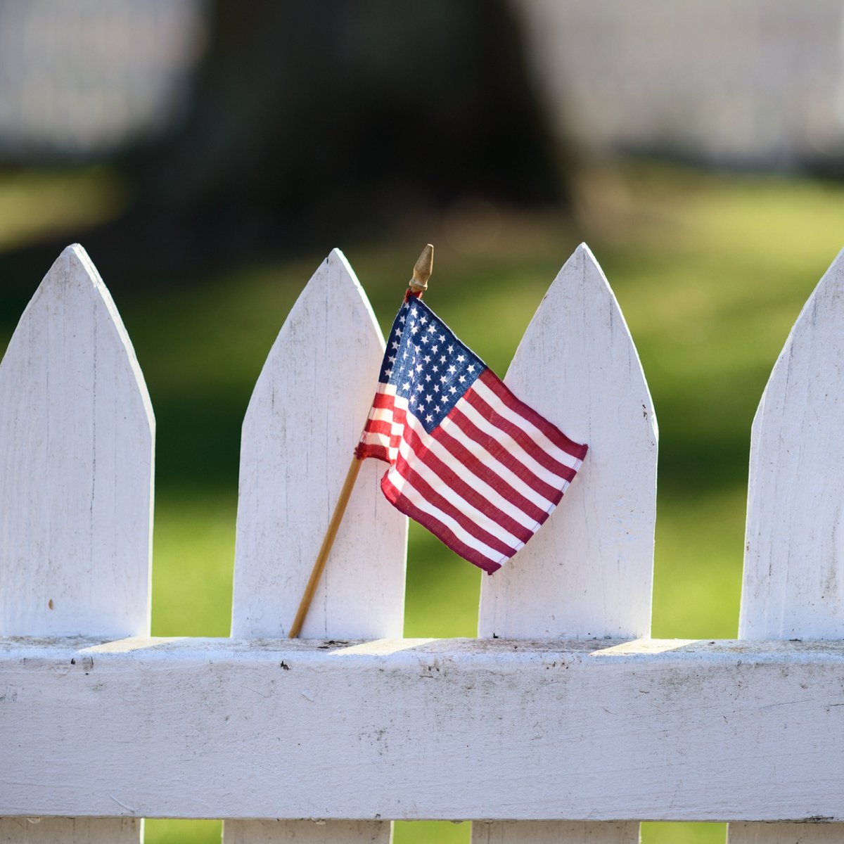 Hoontusa's tweet photo. Happy Labor Day from Hoont! #Laborday #holiday #grill #bbq #outdoors #spring #summer #backyard #patio #hoont #hoontthemdown #repellers #traps #zappers #trainers #nomorepests #pool #parties #garden #pests https://t.co/CVhxHkT3G9