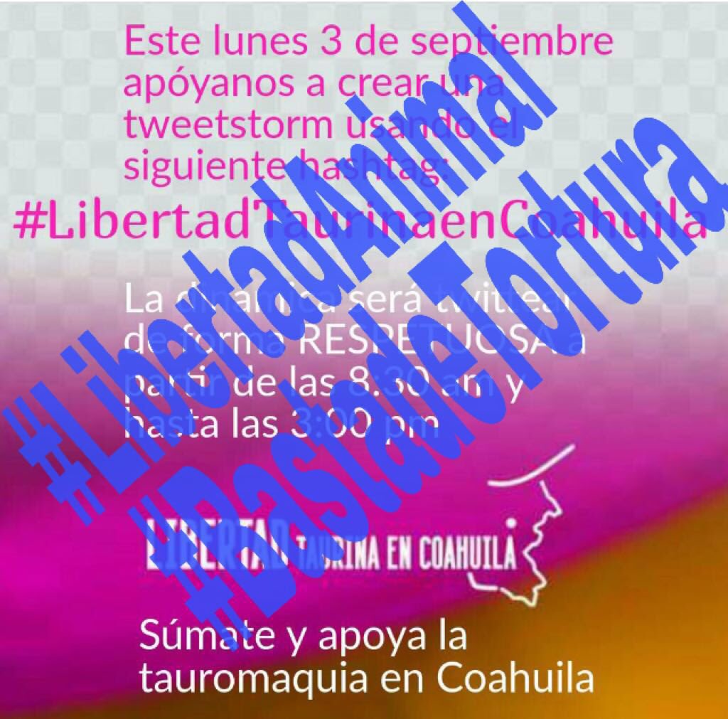 Demostremos que queremos una #CoahuilaAntitaurina #libertadAnimal #bastadetortura ¡súmate! Los animales nos necesitan
