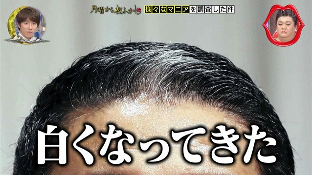 10年前から政治家の髪型をチェックして法則を調べたり心理状態を予測している髪型マニアの美容師さんがすごい 月曜から夜ふかし Togetter