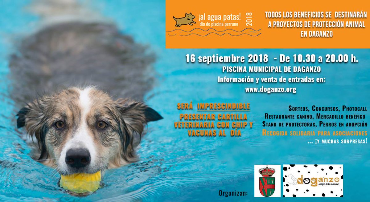 turismocan's tweet photo. Este domingo 16 de septiembre la piscina municipal de Daganza (Madrid) abre sus puertas a los peludos en el evento "¡Al agua patas!" organizado por @asoc_doganzo y el Ayuntamiento.
Más info 👉 https://t.co/VkNfEzZNVC
#piscinacanina #dogfriendly https://t.co/zbPEm7AOFR