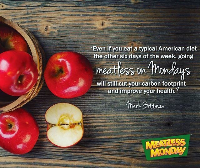 NWBBalbany's tweet photo. Don’t forget! Every Monday at the Bistro is #meatlessmonday !!! 3 courses for $25–>100% veggie! #newworldbistrobar #albanydoesntsuck #foodiefinds #eatyourveggies #justonedayaweek https://t.co/Y8raXs2xde https://t.co/zhYbBJJGyC